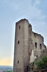 Fototapeta premium Rocca dei Papi in Montefiascone