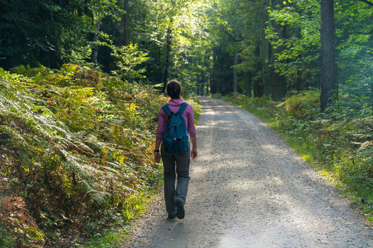 Hübsche Frau wandert entlang eines Waldweges im Elbsandsteingebirge