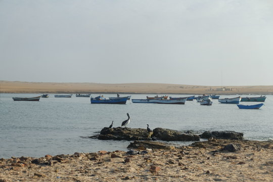 peruvian landscape paracas