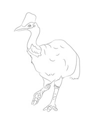 bird dinosaur drawing lines, vector