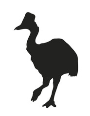 bird dinosaur drawing silhouette, vector