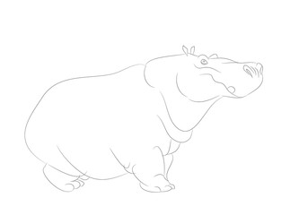 hippo is worth drawing lines, vector