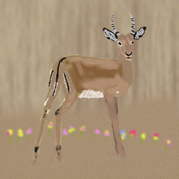 Antelope in Africa  P002