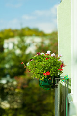 Decorative balcony flowers in pots with hanger