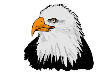 eagle
