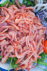 Fresh frozen shrimps prawns in white plate.