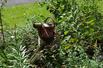 Old Watering Can