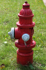 Fototapeta na wymiar Red Fire Hydrant
