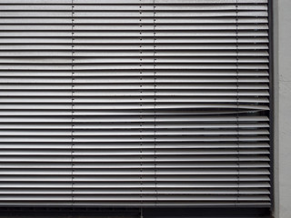 Fototapeta premium kleine macke