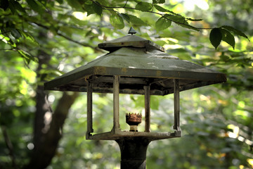 Decorative street lamp