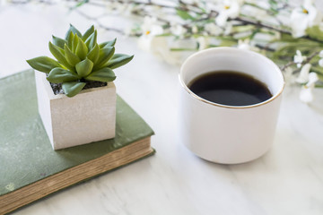 coffee and book with plants for reading time in the morning