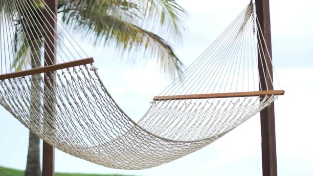 A beautiful picture. The hammock is suspended between palms. Below is the green grass. Its peg is wind. No people. Complete relaxation. Vacation. Beautiful screensaver on your computer or to relax vid