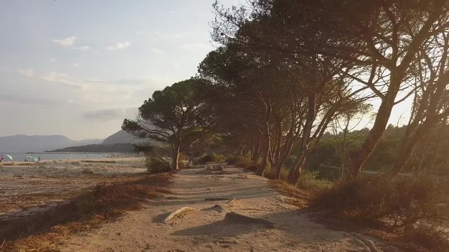 Low flight over Osalla beach, Sardinia, Italy, with green trees in foreground. Mediterranean coast, with sandy beach and green vegetation. Concept of travel, tourism, holiday, exploration, nature.