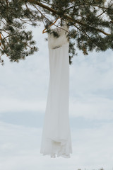 A white wedding dress hands from a pine tree on a warm summer day.