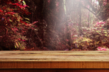Wooden table and blurred autumn forest background.