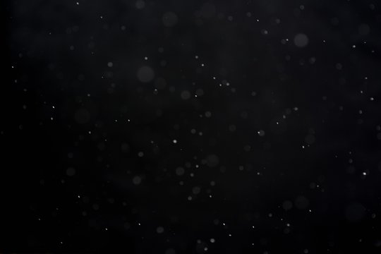 Fototapeta Snowfall on black background - design element. Abstract black white snow texture on black background for overlay