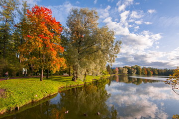 Autumn foliage in Catherine park, Tsarskoe Selo (Pushkin), St. Petersburg, Russia