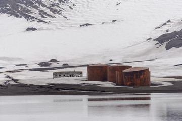 Ancienne station baleinière sur l& 39 île de la Déception, Antarctique