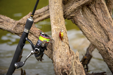 Spinning with a coil close-up.  Fishing on the spinning. Fishing in the summer.