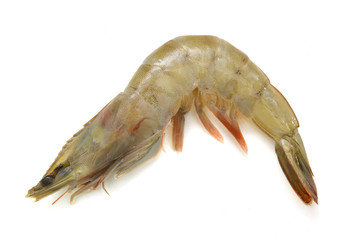  Fresh Prawn On White Background