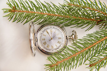 Fir branch, frozen antique clock on a white background.