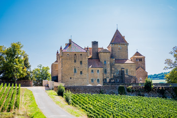 Le Châtreau de Pierreclos en Bourgogne