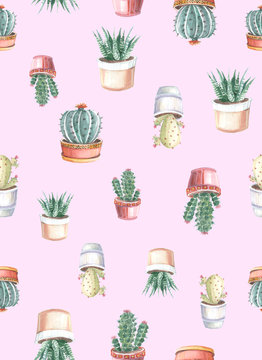 watercolor seamless pattern of cacti and succulents. watercolor background © vadikovskiy