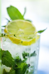 Drink with Mint, Lemon and Lime