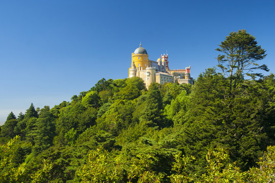 Portugal - Sintra - Pena palace, UNESCO World heritage site) sitting atop of the forested hill. Wide space for text
