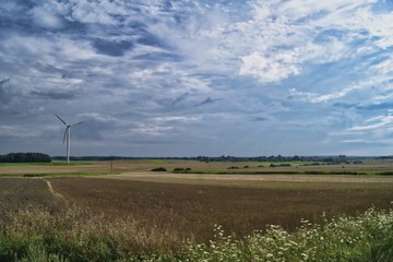 Fototapeta na wymiar Energia odnawialna, wiatraki i rośliny energetyczne