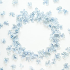 Round frame of hydrangea flower petals on white background. Flat lay, top view floral mockup.