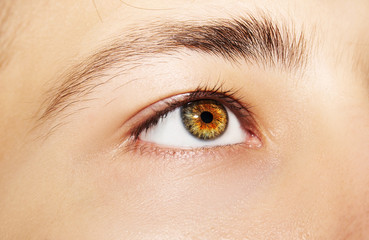 Obraz premium A beautiful insightful look man's eye. Close up shot.