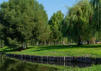 Shore of the pond in the Park