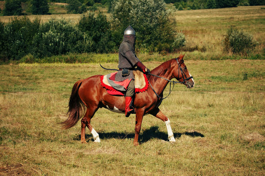 The knight. Medieval armored equestrian soldier with lance. Rider on  horse is in the field