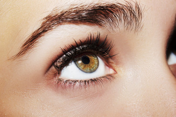 A beautiful insightful look woman's eye. Close up shot.