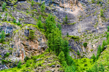 Nature view in Annapurna Conservation Area, Nepal