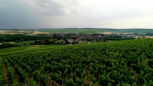 Vignes de Chablis