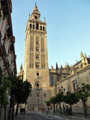 Obraz premium The Cathedral of Saint Mary of the See in Seville Spain