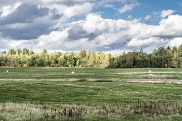 Bales of hay in white polyethylene film, field after harvest, autumn landscape with cloudy sky