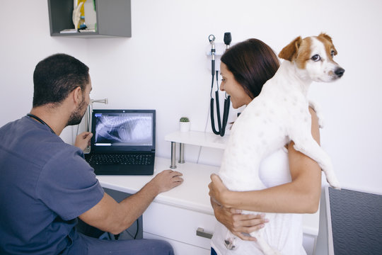 woman holding her dog consulting a vet doctor