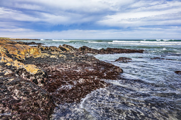 Picturesque view of the rocky shoreline of Atlantic Ocean and Platboom Beach. Platboom Bay is a beautiful beach along coastline nestled in Cape of Good Hope Nature reserve, Cape Town, South Africa.