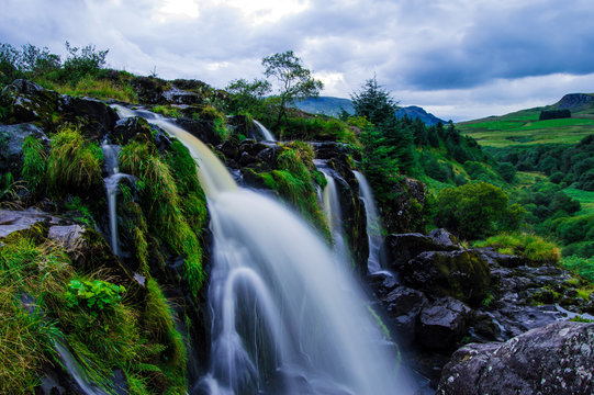 Loup of Fintry