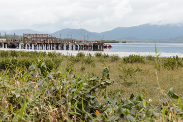 Fototapeta na wymiar Pier antigo sobre mangue na praia