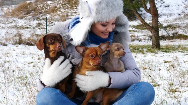 Young woman playing with her three dogs, pinscher ratter prazsky krysarik, dachshund, outdoor during winter weather