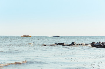 Beach on the shore of the ocean, the sea is a clear sunny summer