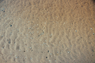 Sea bottom sand and seashells under the layer of water on a hot summer
