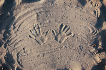 Seashore beach with sand, footprints in the sand, sand and seashells summer