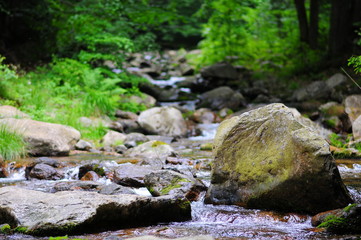 Rocky mountain stream (Wilczka) through woodland with strewn bouldes in Śnieznik Landscape Park, Sudety Mountains, Poland