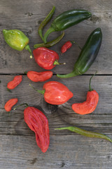 A variety of hot chili peppers including ghost chili, habanero,  Thai chili and jalapeno 