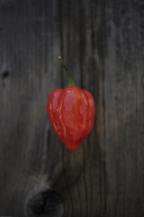 Red ripe habanero pepper on wooden board